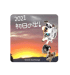 Atom’s line Stickers②（個別スタンプ：24）