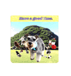 Atom’s line Stickers②（個別スタンプ：25）