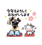 Atom’s line Stickers②（個別スタンプ：27）