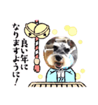 Atom’s line Stickers②（個別スタンプ：28）
