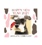 Atom’s line Stickers②（個別スタンプ：30）