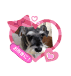 Atom’s line Stickers②（個別スタンプ：35）