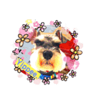 Atom’s line Stickers②（個別スタンプ：36）