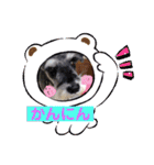 Atom’s line Stickers②（個別スタンプ：38）
