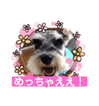 Atom’s line Stickers②（個別スタンプ：39）