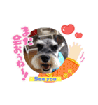 Atom’s line Stickers②（個別スタンプ：40）