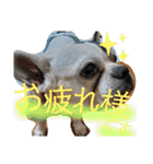 フレブルえるくん第3段（個別スタンプ：9）