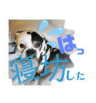 フレブルえるくん第3段（個別スタンプ：18）