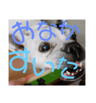 フレブルえるくん第3段（個別スタンプ：19）