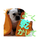 フレブルえるくん第3段（個別スタンプ：21）