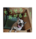 フレブルえるくん第3段（個別スタンプ：24）