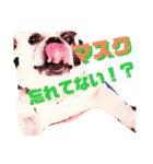 フレブルえるくん第3段（個別スタンプ：25）