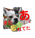 フレブルえるくん第3段（個別スタンプ：26）