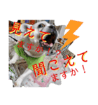 フレブルえるくん第3段（個別スタンプ：27）