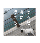 フレブルえるくん第3段（個別スタンプ：30）