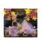 フレブルえるくん第3段（個別スタンプ：33）