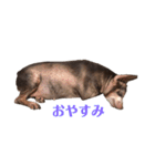 あゆちゃんぱんちゃん（個別スタンプ：12）