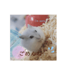 ましゅたんぷ①（個別スタンプ：5）