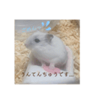 ましゅたんぷ①（個別スタンプ：11）