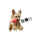 とい犬の日常（個別スタンプ：3）