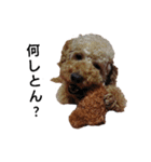 とい犬の日常（個別スタンプ：4）