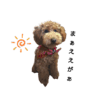 とい犬の日常（個別スタンプ：6）