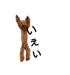 とい犬の日常（個別スタンプ：10）