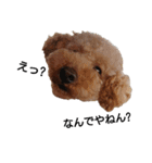 とい犬の日常（個別スタンプ：21）