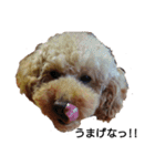 とい犬の日常（個別スタンプ：22）