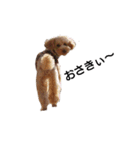 とい犬の日常（個別スタンプ：26）
