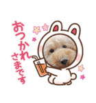 とい犬の日常（個別スタンプ：31）