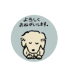 クリーム色の犬 その2（個別スタンプ：4）