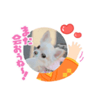 りおのあコロニー❤️3きゅん（個別スタンプ：3）