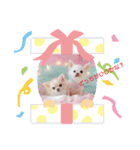 りおのあコロニー❤️3きゅん（個別スタンプ：4）