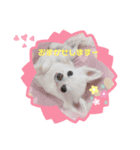 りおのあコロニー❤️3きゅん（個別スタンプ：7）