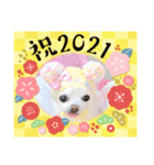りおのあコロニー❤️3きゅん（個別スタンプ：8）