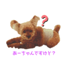 元気な仔犬あーちゃん3（個別スタンプ：3）