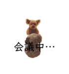 元気な仔犬あーちゃん3（個別スタンプ：4）