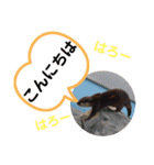 たけしのスタンプ 挨拶1（個別スタンプ：3）