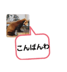 たけしのスタンプ 挨拶1（個別スタンプ：4）