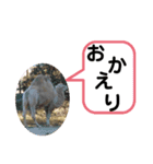 たけしのスタンプ 挨拶1（個別スタンプ：11）
