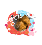 チョコちゃんスタンプ！！（個別スタンプ：4）