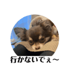 番犬への道のり（個別スタンプ：7）