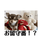 番犬への道のり（個別スタンプ：12）