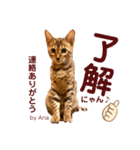 アリスタ726＊2021（個別スタンプ：1）