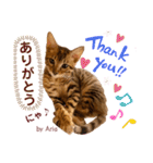 アリスタ726＊2021（個別スタンプ：2）