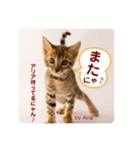アリスタ726＊2021（個別スタンプ：4）