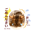 アリスタ726＊2021（個別スタンプ：5）