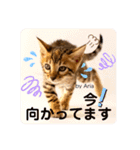 アリスタ726＊2021（個別スタンプ：7）