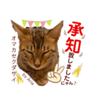 アリスタ726＊2021（個別スタンプ：12）